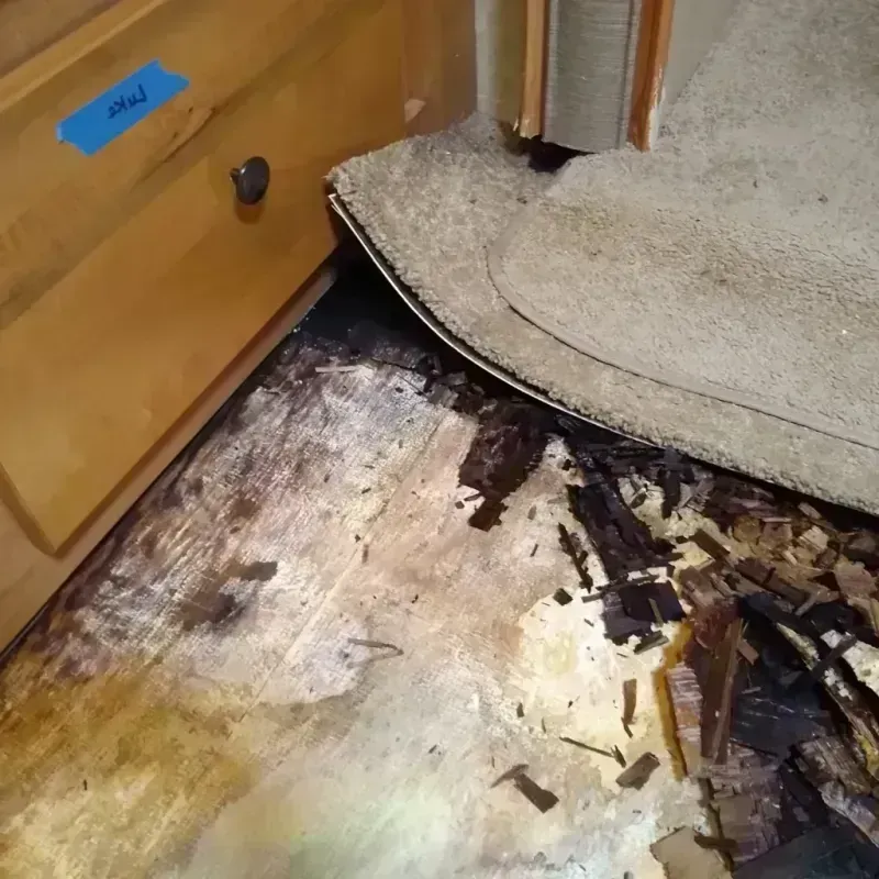 Wood Floor Water Damage in Belmar, NJ